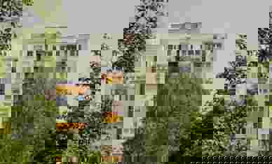 Pexels Ryszard Zaleski 29105926 23407918