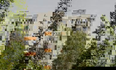 Pexels Ryszard Zaleski 29105926 23407918