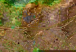 Pexels Kelly 1179532 3030307 (1)