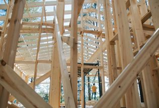 Pexels Ron Lach 8830259