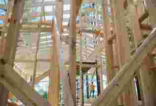 Pexels Ron Lach 8830259