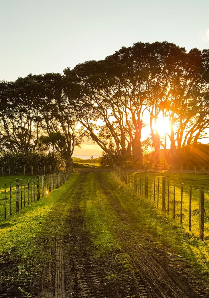 Werner Sevenster Jup0zg0uni0 Unsplash Copy