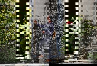 SSP 0056