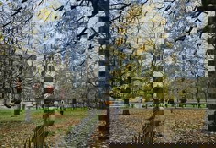 Winchester Cathedral