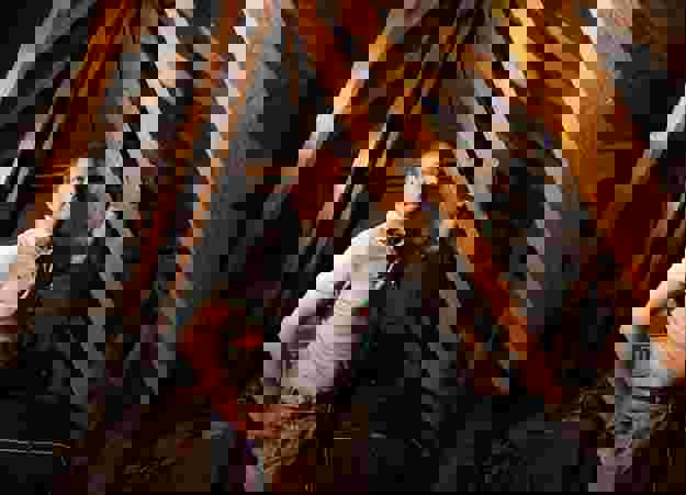 SSP 0125