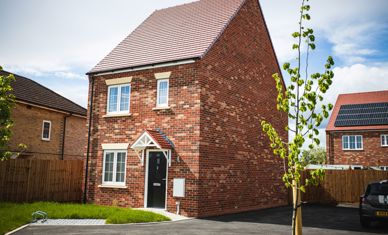 James Feaver 8I Ycoli340 Unsplash