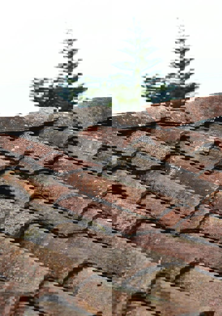 Pexels Padrinan 1453799