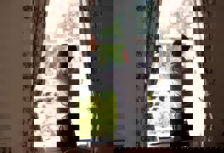 SSP 0040